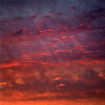 Carolyn Marks Blackwood: On the Edge - Von Lintel Gallery, Los Angeles