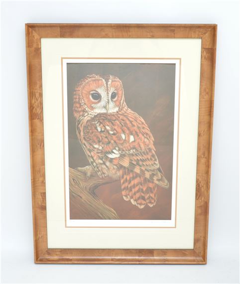 Tawny Owl - Robert E. Fuller