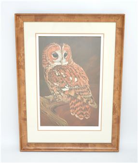 Tawny Owl - Robert E. Fuller