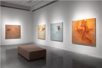 Gabriella Klein: Night Train - Petach Tikva Museum of Art 