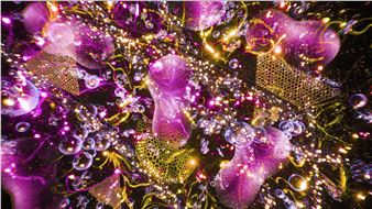 Henry Driver: Waterportals - The Quad