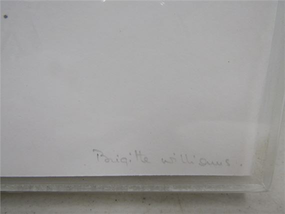 Brigitte Williams | Dislocation | MutualArt