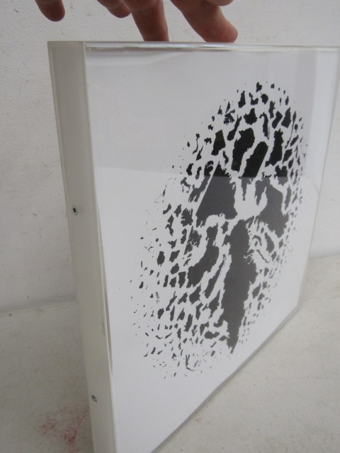 Brigitte Williams | Dislocation | MutualArt
