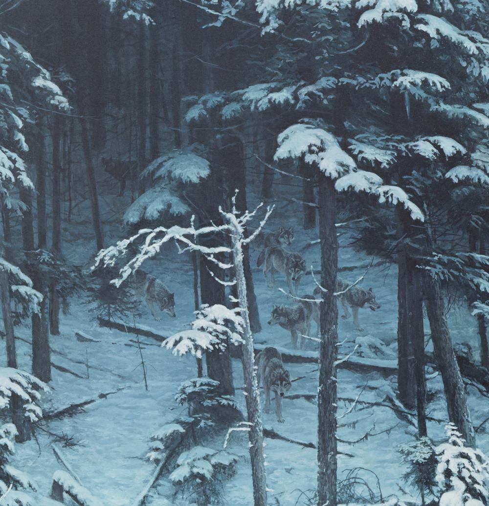 Robert McLellan Bateman | Descending Shadows, Timberwolves (1995 ...