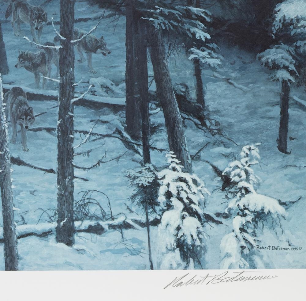 Robert McLellan Bateman | Descending Shadows, Timberwolves (1995 ...