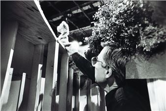 Fred Operates Daniel - Jim Judkis