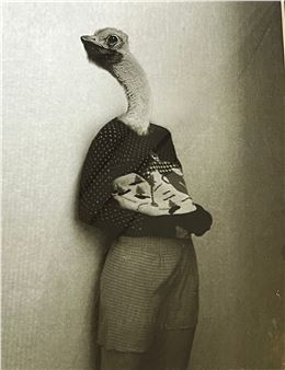 A 2006 MAURICE RENOMA Sheet Fed Photogravure - Maurice Renoma