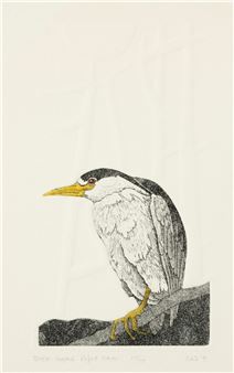 Black-capped Night Heron - Edie Miller
