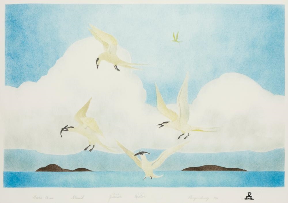 Artwork by Joanasie Papatsie, Arctic Terns, Made of Stencil Print On Paper