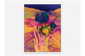 Lisa Oppenheim's new exhibition explores a photographic giant