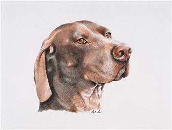 Braque head - Cybele