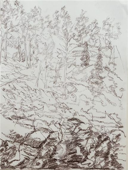 Rocks and trees near Jerusalem