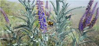 Faculty Sabbatical Triennial