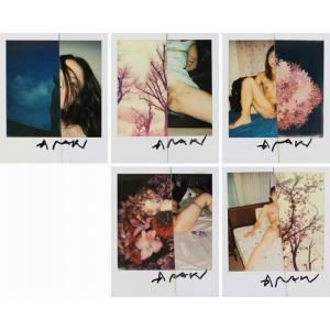 Favorite Lot by Nobuyoshi Araki, 2014