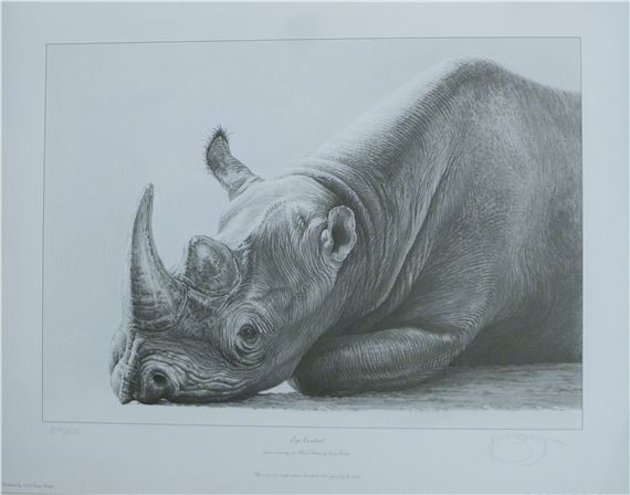 Eye Contact Rhino - Gary Hodges