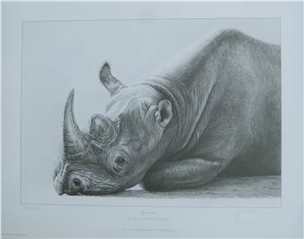 Eye Contact Rhino - Gary Hodges