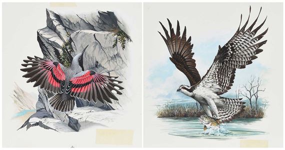 Anthony J. Rudisill | Two Stamp Illustrations | MutualArt
