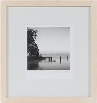 Untitled - Tom Sheffield