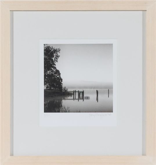 Untitled - Tom Sheffield