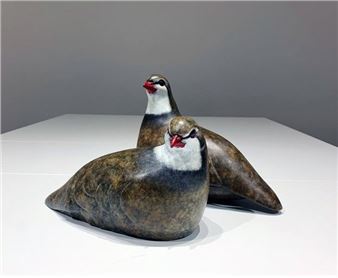 Birds7 - Roger Billcliffe Gallery