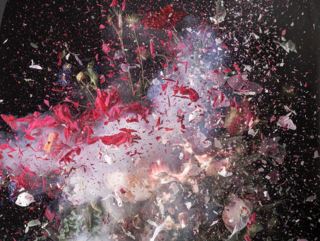 Ori Gersht: Amalgamation