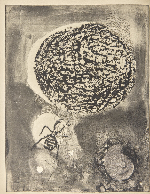 Artwork by Germaine Richier, Art] [Richier, Germaine] Solier, Rene de. Contre Terre, Made of plates with aquatint and drypoint