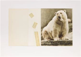 Conservation - Nicky Hirst