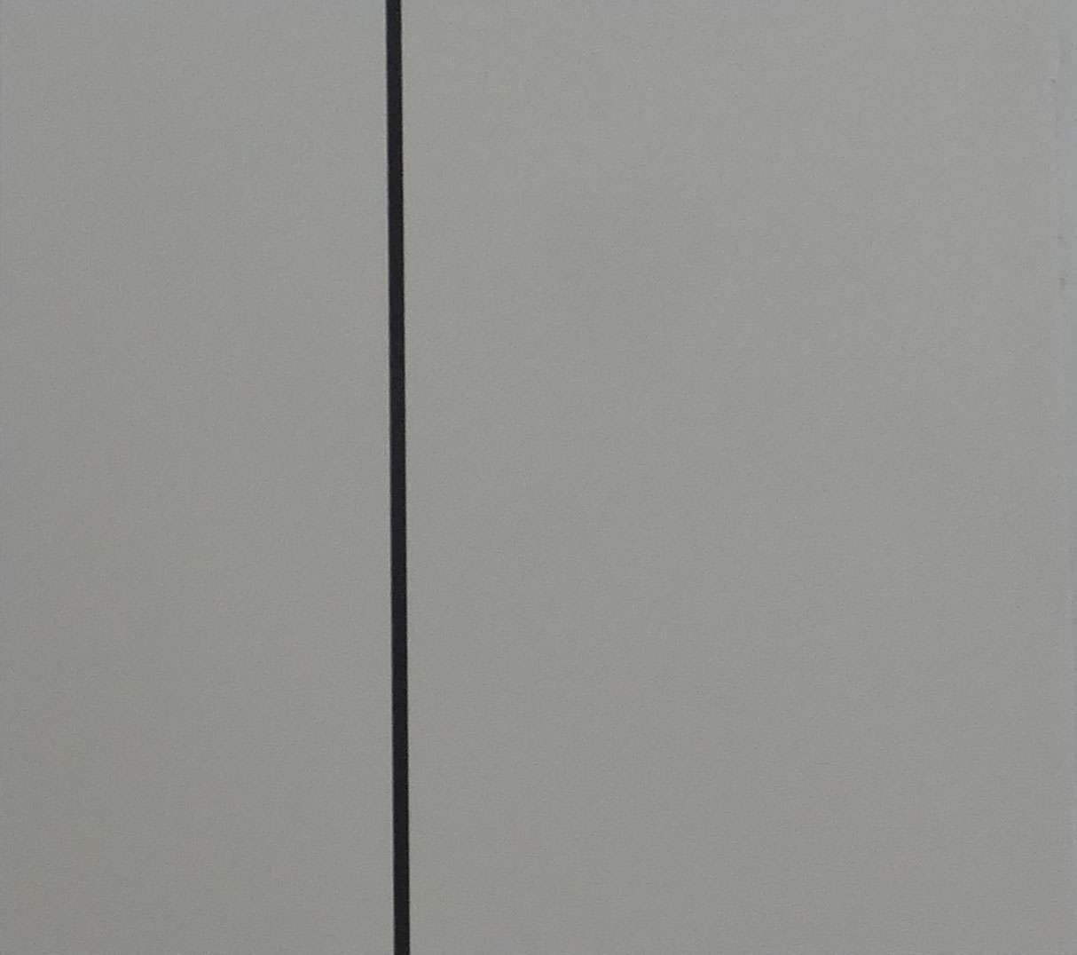 Ellsworth Kelly | LINE FORM COLOR | MutualArt