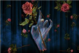 Beyond the Fairytale
