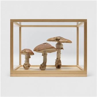 Group #9 - Roxy Paine