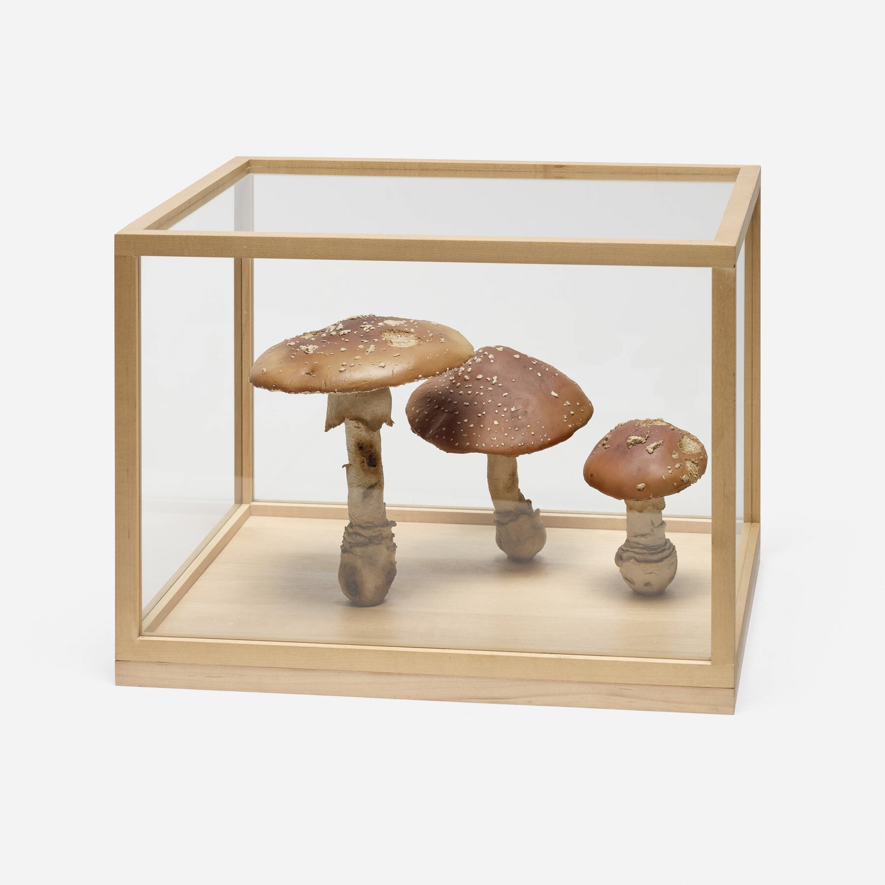 Artwork by Roxy Paine, Group #9, Made of Thermoset Polymer, Oil, Epoxy, Wood, Glass, Stainless Steel