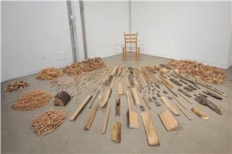 Gina Siepel: To Understand a Tree - Samek Art Museum