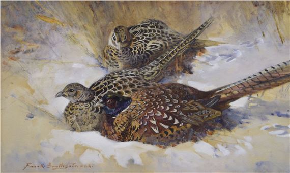 Sheltering in the dry ditch. Pheasants - Frank Southgate