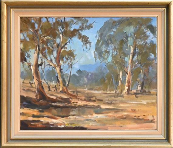 Flinders ranges by John Dudley