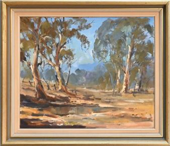 Flinders ranges - John Dudley
