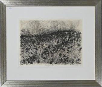 HOMESTEAD GORGE II - JO Lankester