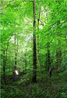 Uta Kögelsberger: Some Kind of Love: Actions and Reactions to Living on a Damaged Planet - Hatton Gallery