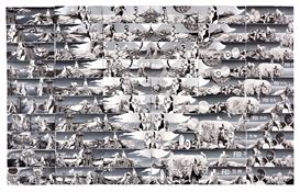 Denver Art Museum presents Andrea Carlson's first museum survey, A Constant Sky