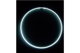 Swedenborg House Presents Elective Affinities