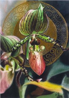 A detailed botanical illustration of a moth perched on a pink orchid against an ornate circular background.