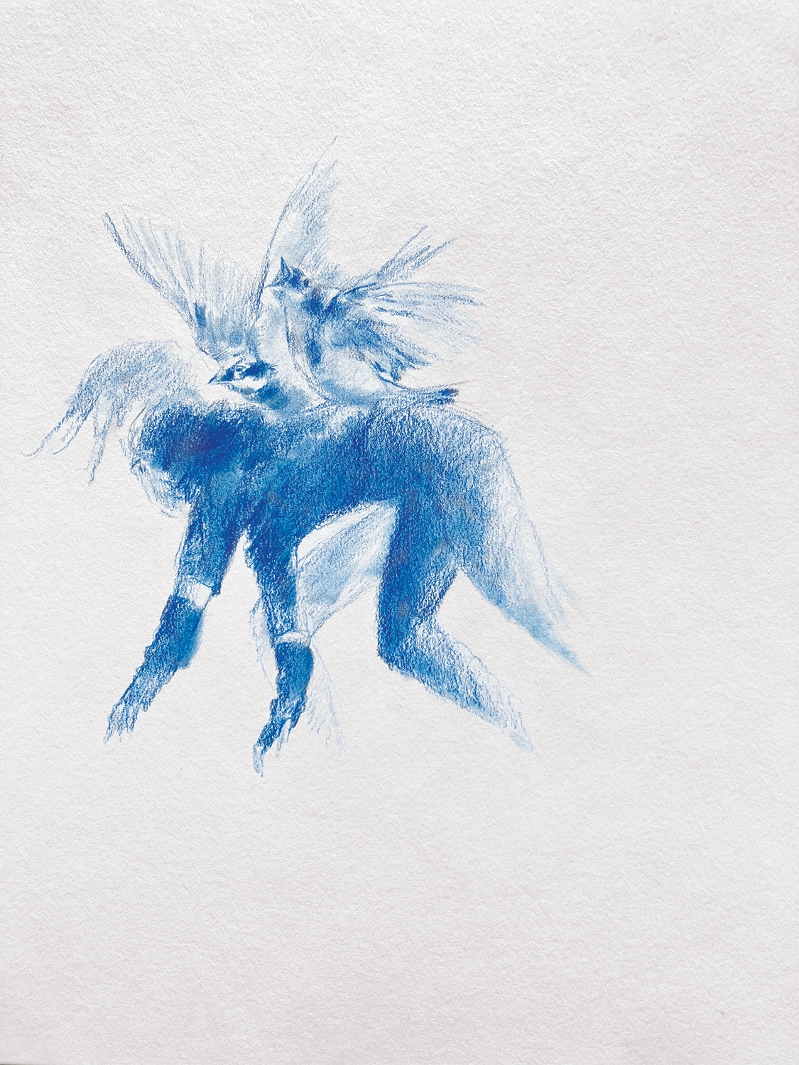 Artwork by Leila Zelli, Étude (2024, Made of Colored pencil and pastel on paper