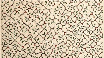 Amazonia Açu - Americas Society (AS)