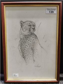 study of a Cheetah - Ronald Forthright
