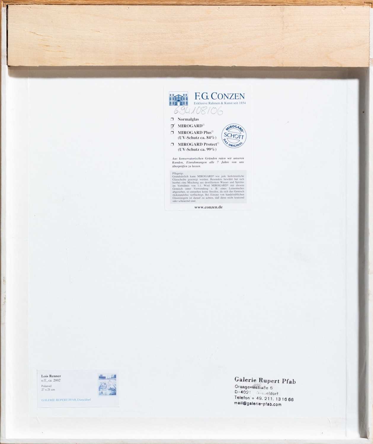 Artwork by Lois Renner, Untitled, Made of Polaroid