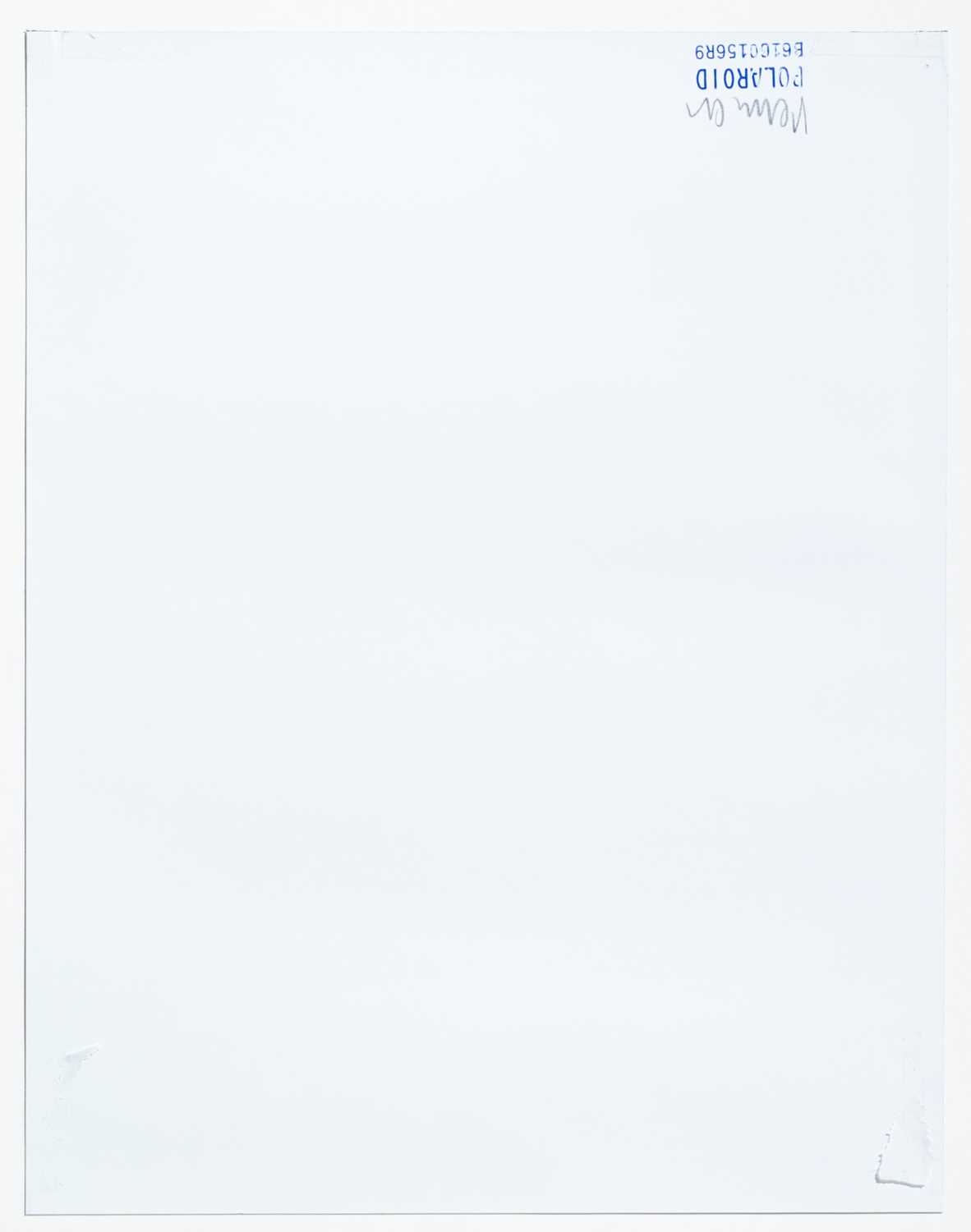 Artwork by Lois Renner, Ohne Titel, Made of Polaroid