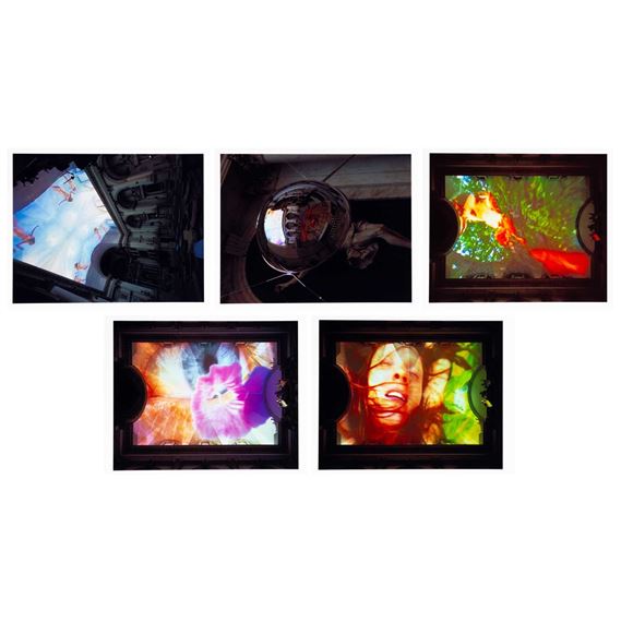 Homo sapiens sapiens - Pipilotti Rist