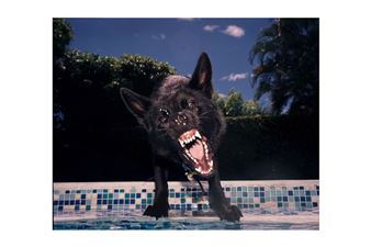 'Breathless in Glowing Air' Captures Beauty Before It's Lost