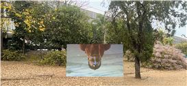 São Paulo Biennial Goes Global with Augmented Reality