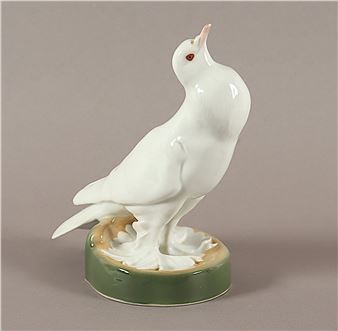 Weisse Trommeltaube - Bochmann Max