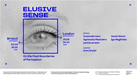 Elusive Sense: On the Fluid Boundaries of Perception - Centrespace Gallery
